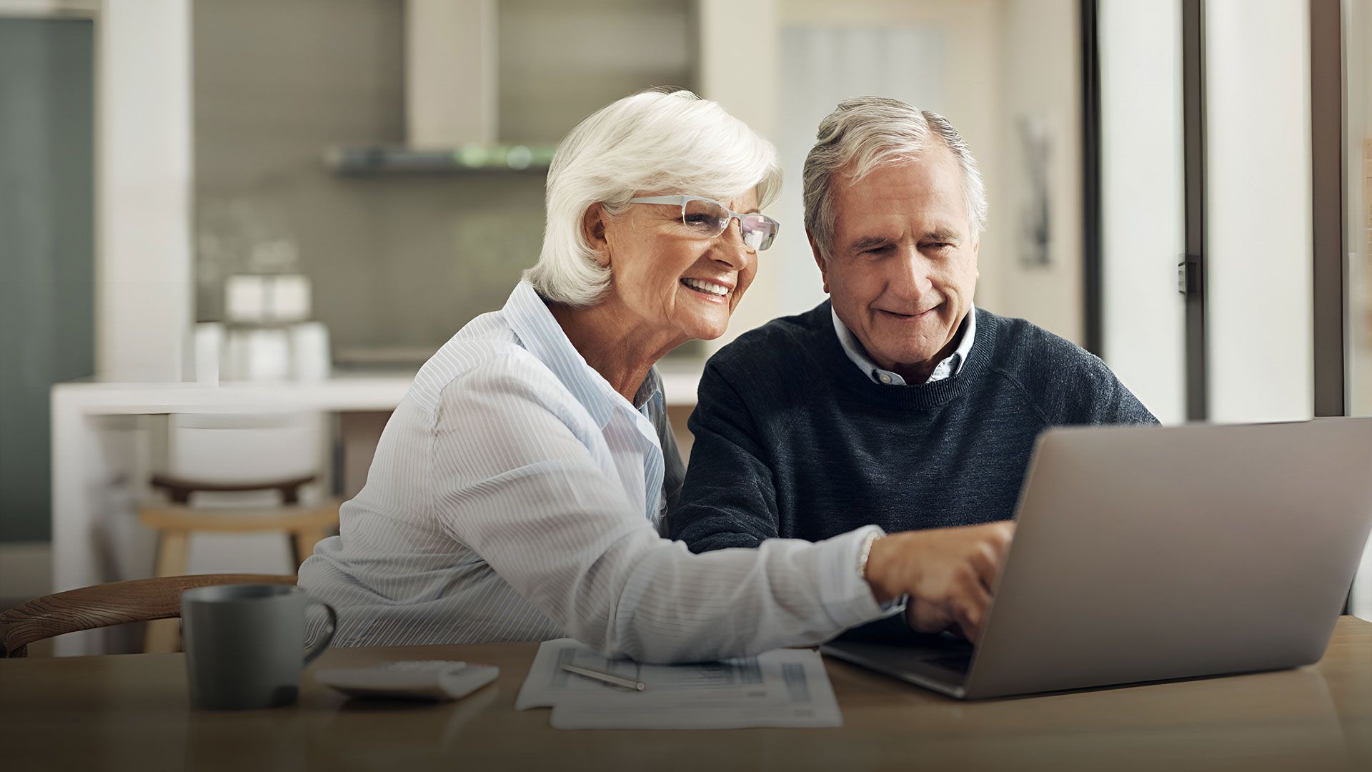 Älteres Paar sitzt am Tisch und schaut lächelnd auf einen Laptop, Frau zeigt auf den Bildschirm